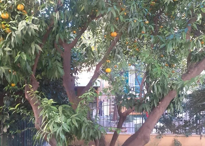 Apartment 6 - The House Of Oranges Rom